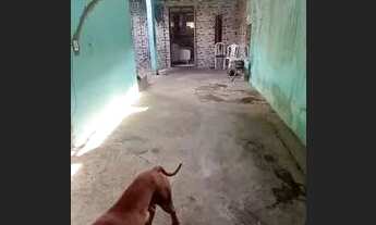 Imagem 3: Casa em vida nova