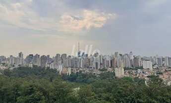 Imagem 7: São Paulo - Apartamento Padrão - Cambuci