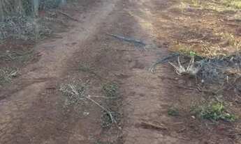 Imagem 3: Chácara Chácara com venda por R$100.000