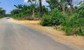 Imagem 3: Terrenos p/ Chácaras no km 05 da Cidade de Iranduba, parcelados