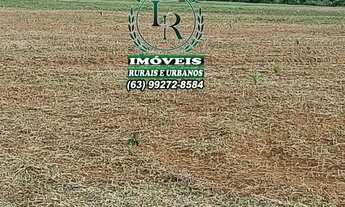 Imagem 4: Fazenda Plantando 213 Alqueires