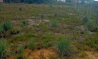 Imagem 2: Ótimo terreno para chácara