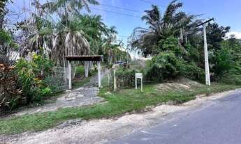 Imagem 2: Vende-se o Sítio São José de Ribamar: Um Paraíso Tropical na AM 010, Km 112