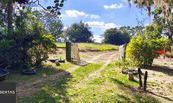 Imagem 6: Oportunidade única! Fazenda com 28 ha, desocupada à venda em Viamão, Rio Grande do Sul