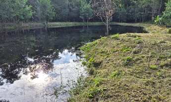 Imagem 7: Presidente Figueiredo