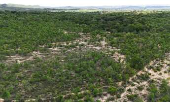 Imagem 7: Propriedade a venda em Unaí/MG com70 hectares para loteamento