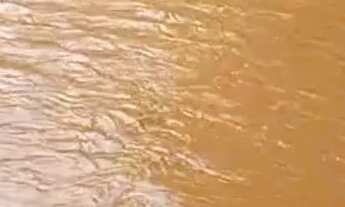 Imagem 4: Vendo lote RURAL ?Barato?