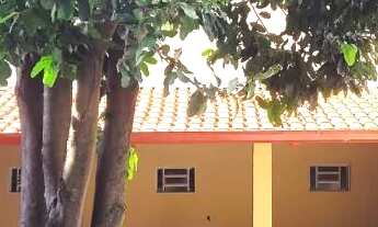 Imagem 7: KIT NET LOCAÇÃO DIRETA COM O PROPRIETÁRIO NO SETOR SUL