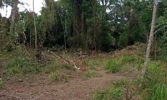 Imagem 3: Excelente terreno(chácara 13mil mts?