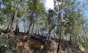 Imagem 6: Terreno para Venda em Nova Friburgo, Parque São Clemente