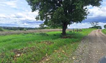 Imagem 7: Area Rural 15,5 Hectares Castelo Branco /Poranga/SP