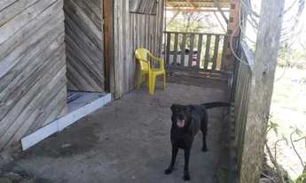 Imagem 6: Chácara à venda em Santo Antônio da Patrulha (RS