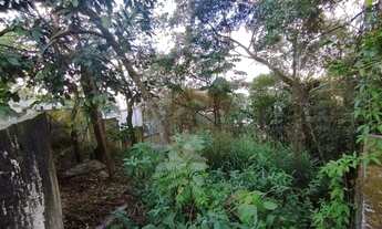 Imagem 4: Terreno à venda, 548 m² por R$ 800.000,00 - Jardim Peri Peri - São Paulo/SP