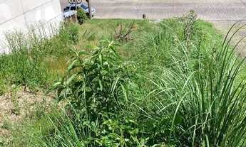 Imagem 6: Terreno,bairro Nossa Senhora da Saúde