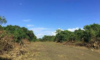 Imagem 5: Terreno escriturado Manacapuru no vale verde 2