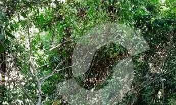 Imagem: Terreno à venda, 760 m² por R$ 372.096,00