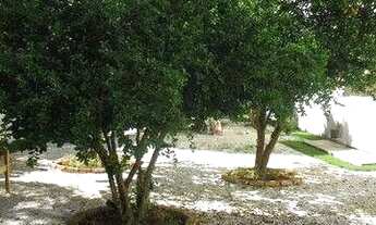 Imagem 4: Casa com 5 dormitórios à venda, 240 m² por R$ 6.274.500,00 - Cambuí - Campinas/SP