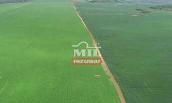Imagem 6: Fazenda 255 Alqueires (1.234 Hectares) Palmas - To