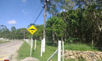 Imagem 4: Terreno Residencial em Ratones