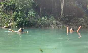 Imagem 4: SÍTIO 250X1000 (25 HECTARES) CASA COM 2 PISCINAS, IGARAPÉ COM NASCENTE, POÇO ARTESIANO