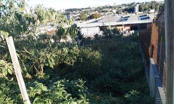 Imagem 5: Terreno,bairro Santa Catarina
