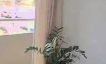 Imagem: Alugo apartamento no Village Garden 1