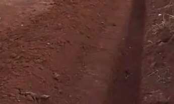 Imagem 3: Lote em Mário Campos MG entrada do tangará bairro estância serra verde