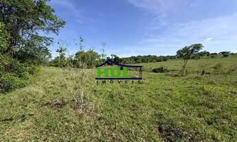 Imagem 7: Professor Jamil - Chácara 3,92 Hectares. Oportunidade