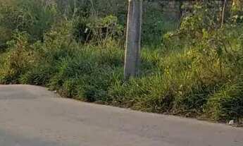 Imagem: Lote em Avenida Anel - Belvedere - Ribeirão