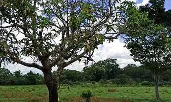 Imagem: Chácara 42.000 metros Chácara Recreio