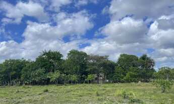 Imagem 5: Vende-se ou troca por casa em Boa Vista este sítio