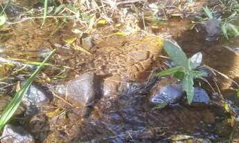 Imagem 2: Chácara 1 km da estrada da Ribeira na Embrapa