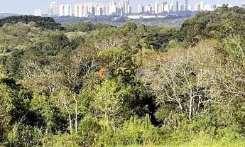 Imagem 3: Espaço dos Sonhos: Terreno de 3 Alqueires com Nascente e Casas!