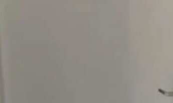 Imagem 6: Alugo apartamento em Caieiras ( morro grande