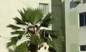 Imagem: Apartamento à venda no VILLA RICA, PONTO