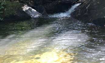 Imagem 4: Vendo sítio em Santa Cruz da serra! 10 lagos!