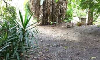 Imagem 7: Área Comercial á venda em Taubate