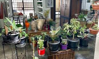 Imagem 3: Casa Comercial 296m² Vieiralves