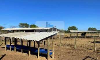 Imagem 7: Dois Irmãos do Tocantins - Chácara - Setor Central