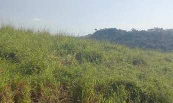 Imagem 16: V03-Lote/Terreno para venda com 500 metros quadrados