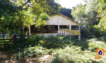 Imagem 2: Chácara à venda em IPIRANGA para plantio