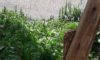 Imagem 2: Terreno Alpes de cajamar Polvilho (5×25