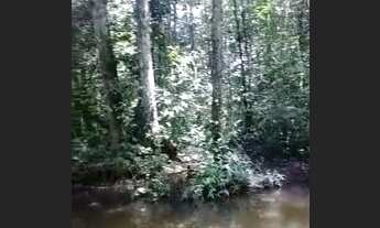 Imagem 2: Sitio em abaetetuba