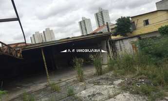 Imagem 7: São Paulo - Terreno Padrão - VILA PORTUGUESA