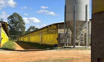 Imagem 2: Sítio, ITAPIRA, Itapira - R$ 4.5 mi, Cod