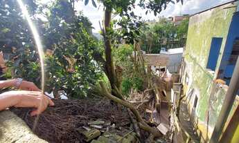 Imagem 2: Lote/Terreno para venda possui 600 metros quadrados com 3 quartos ideal para construtores