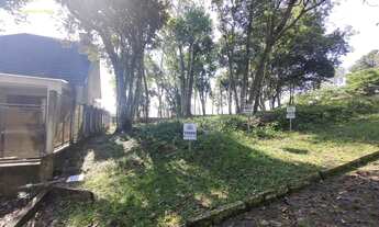 Imagem 3: Excelente terreno com vista panorâmica em Ivoti REF: 210571