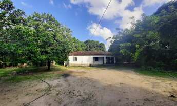 Imagem 4: TERRENO para vender na cidade de CAUCAIA-CE