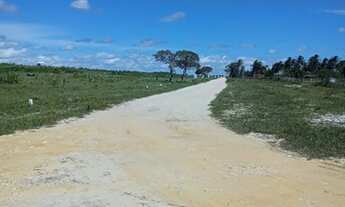 Imagem 2: Loteamento Lagoas Do Giral A 900 Metros Da Praia E A 2Km Do Centro De Paracuru.. n°:46
