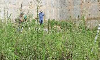 Imagem 4: Venda-Terreno-São Paulo-Jardim Jaraguá (São Domingos
